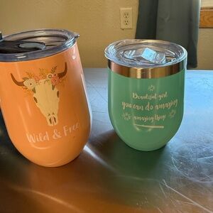 Wild & Free Peach and Aqua Insulated Tumbler Set